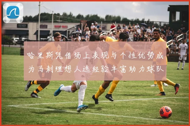 哈里斯凭借场上表现与个性优势成为马刺理想人选经验丰富助力球队发展